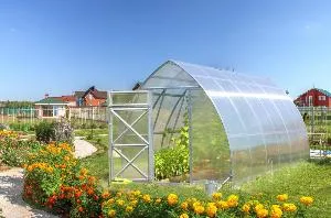 Парники из поликарбоната: основные преимущества и разновидности